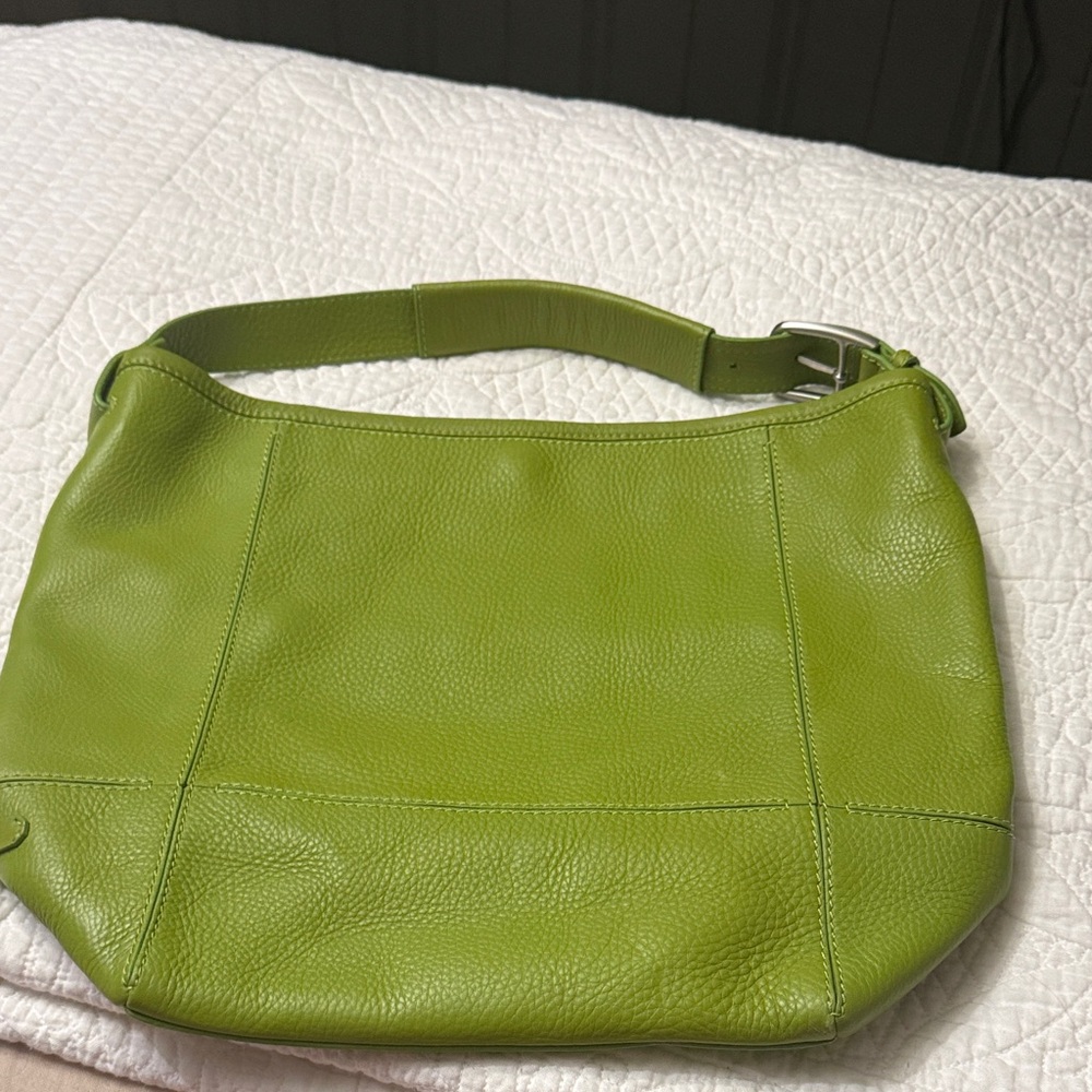 Cole Haan Lime Green and hobo Bag
